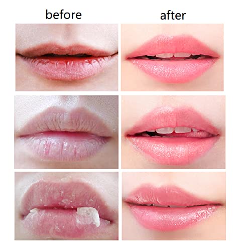 4 PCS Bee Lip Balm Honey Pot,Honey Lip Mask,Honey Propolis Lip Mask Moisturizing Moisture Nourishing Dry & Chapped Lips,Lip Care and Reduces Lip Lines,Lip Exfoliating