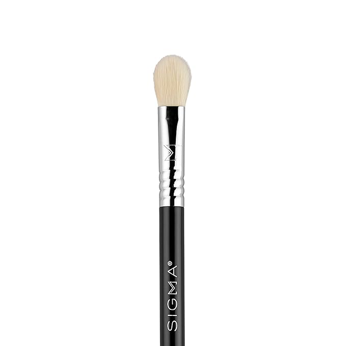 Sigma Beauty Travel Essential Trio - Makeup Brush Set for Foundation Powder Eyeshadow - 3 Tool Brushes with Brush Tin Holder - Skin Safe, Vegan Makeup Brushes for Travel - Black