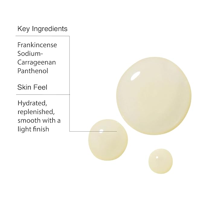 Aesop Geranium Leaf Body Cleanser + Scrub | 16.9 oz + 6.2 oz