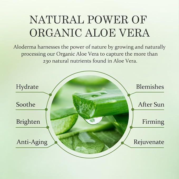 Aloderma Organic Aloe Vera Gel for Body Made within 12 Hours of Harvest, 96% Pure Aloe Vera Gel for Skin, Scalp, & Hair, Soothing Aloe Face Moisturizer, Multipurpose, Hydrating Aloe Gel, 7oz, 6 Pack