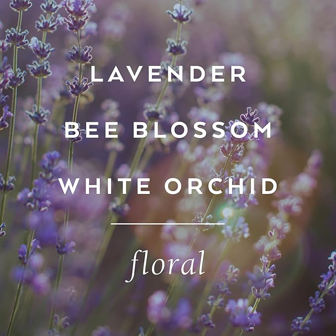 LOLLIA Relax Body Butter, 5.5 oz. - Lavender & Honey Fragrance - Shea Butter & Cocoa Butter, Body Lotion for Women, Hydrating & Smooth Body Moisturizer