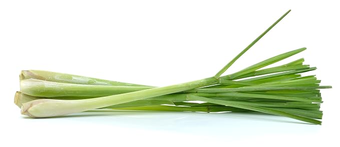 US Organic 100% Pure Lemongrass Essential Oil, USDA Certified Organic, Extracted by Steam Distillation Method, for Hair, Nail Polish Remover, Bees Attraction, and More. 15 ml