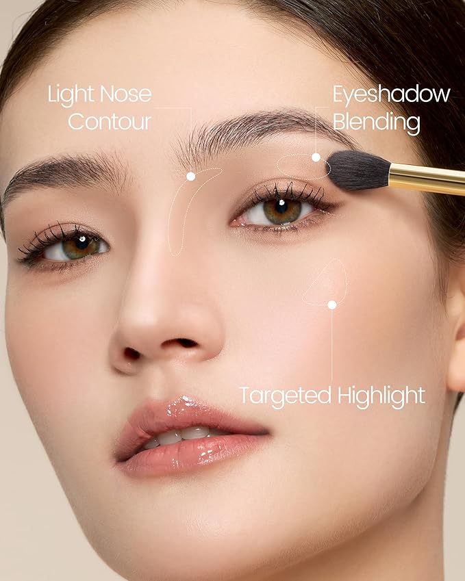 Desert Oak Series Eyeshadow Blending Brush - Dome Goat Hair Bristles for Seamless Crease Work, Premium Bubinga Handle with Gold Brass Ferrule (CM 169)