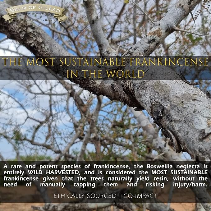 BALM OF GILEAD Neuropathy Frankincense & Sweet Myrrh Therapeutic Rubbing Oil - Instant Diabetic's & Autoimmune Dry Skin Relief & Repair, 2 fl oz